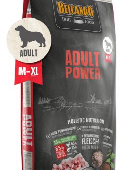 Adult Power 12.5kg – Croquettes pour chien adulte moyen à grand<br />Poulet