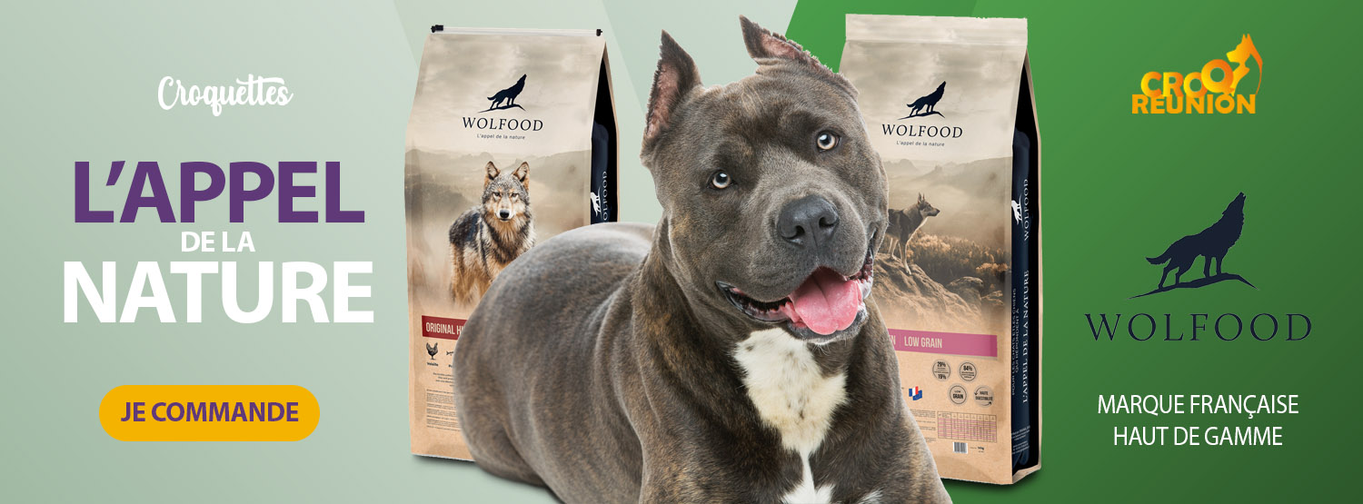 Alimentation Pour Chien Et Chat Avec Des Croquettes De Qualite Reunion